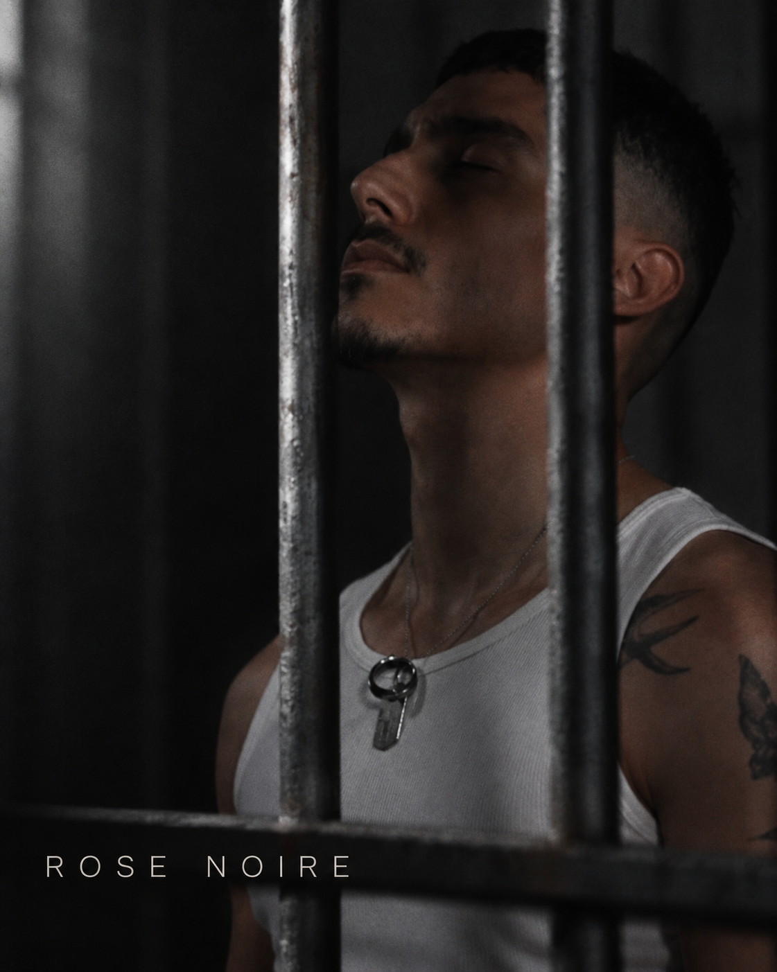 Rose noire